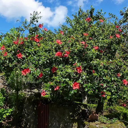 בית כפרי Quinta Do Espirito Santo Angra do Heroísmo