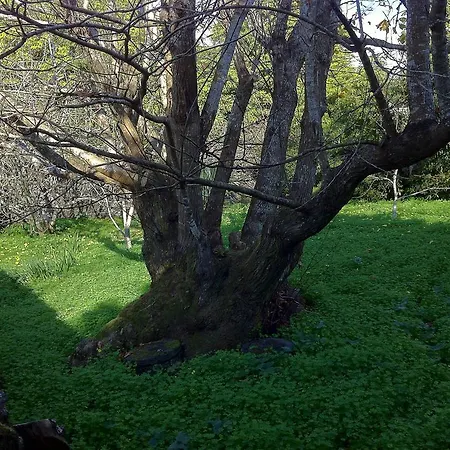 בית כפרי Quinta Do Espirito Santo *