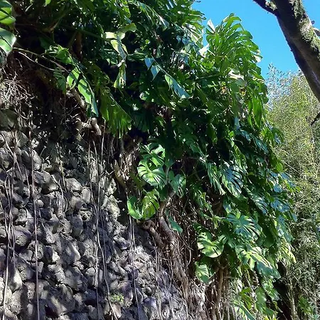Quinta Do Espirito Santo Angra do Heroísmo