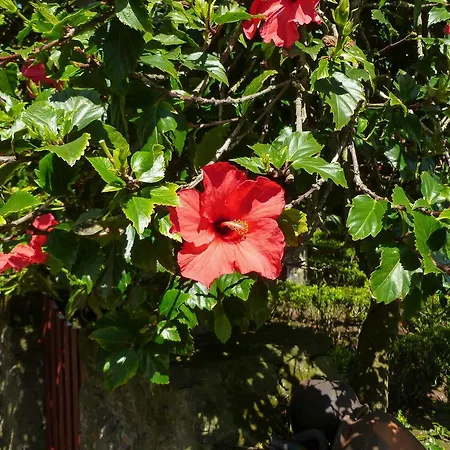 בית כפרי Quinta Do Espirito Santo