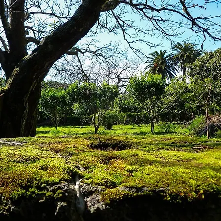 בית כפרי Quinta Do Espirito Santo Angra do Heroísmo