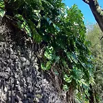 Quinta Do Espirito Santo أنغرا دو إِراويزو