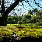 منزل ريفي Quinta Do Espirito Santo أنغرا دو إِراويزو
