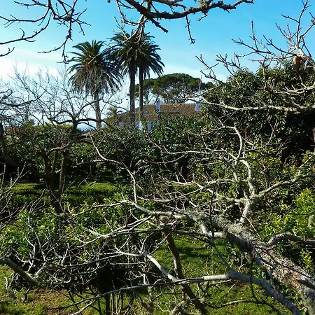 בית כפרי Quinta Do Espirito Santo