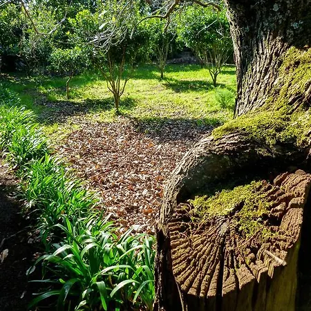 בית כפרי Quinta Do Espirito Santo *