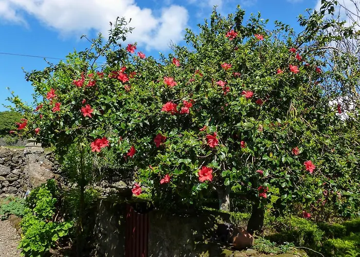 Country house Quinta Do Espirito Santo Angra do Heroismo