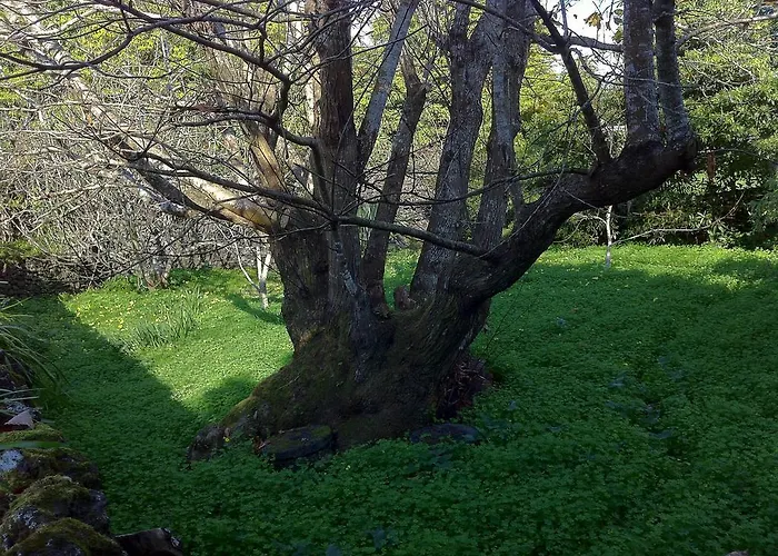 בית כפרי Quinta Do Espirito Santo *