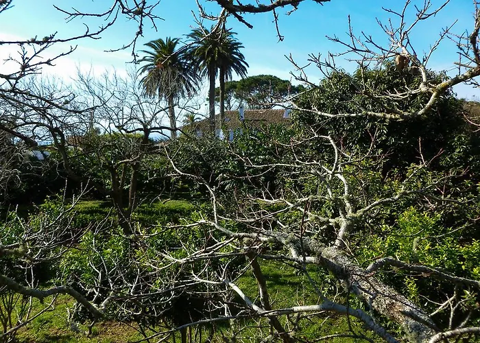 Country house Quinta Do Espirito Santo