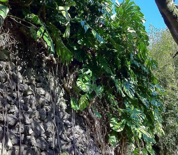 Quinta Do Espirito Santo Angra do Heroismo