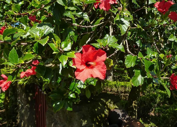 בית כפרי Quinta Do Espirito Santo