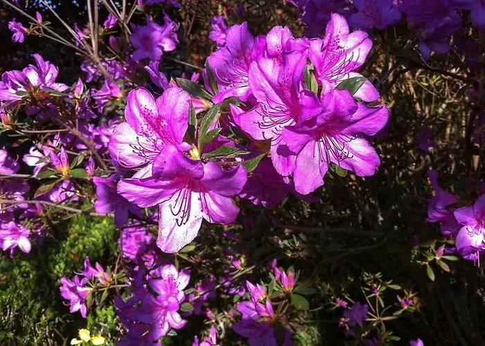 Quinta Do Espirito Santo