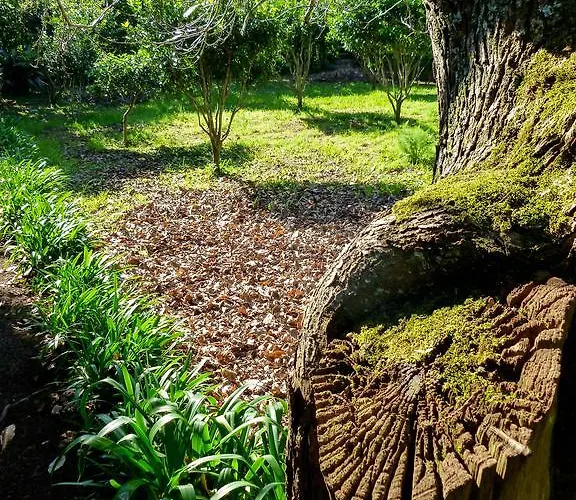 Country house Quinta Do Espirito Santo *