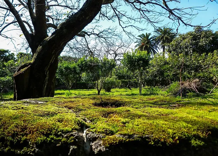 Country house Quinta Do Espirito Santo Angra do Heroismo